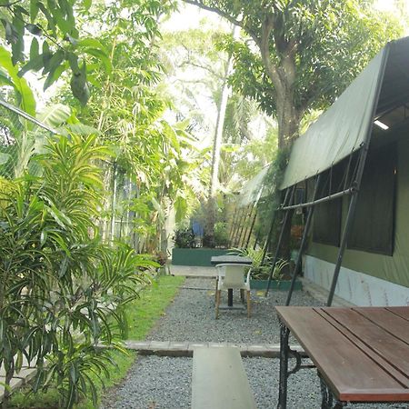 Traveler'S Haven Hostel At Colombo Intl Airport Katunayaka Extérieur photo